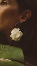 AROS FLORES